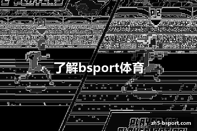 了解bsport体育